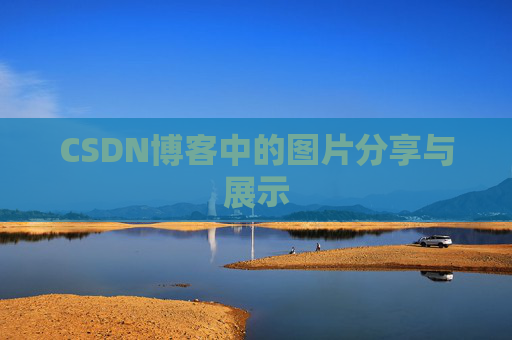 CSDN博客中的图片分享与展示